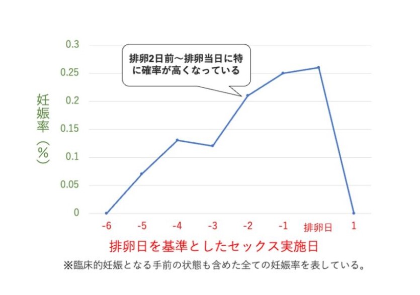 妊娠タイミンググラフ