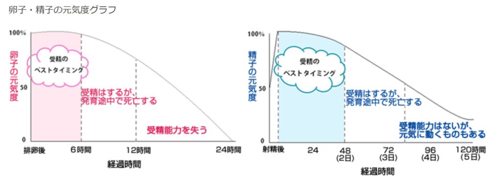 妊活タイミンググラフ